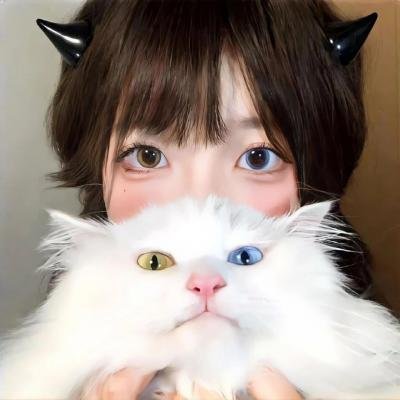 三只流浪猫